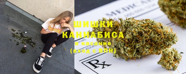 прущая мука Бородино