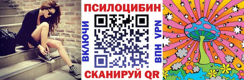 купить наркоту  Карталы  Галлюциногенные грибы Psilocybe 